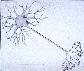 Schma d'un neurone